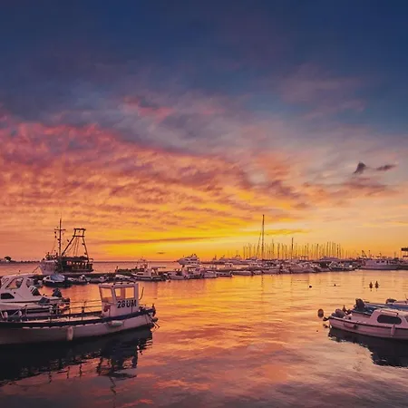 Domus Lauri Palace *